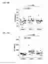 Fig. 53 - Microbial consortium and uses thereof