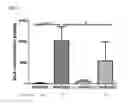 Fig. 07 - Production and use of bacterial histamine