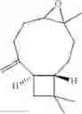 Fig. 19 - Pharmaceutical composition and method of manufacturing