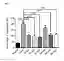 Fig. 05 - Composition for treating corneal diseases or conjunctival diseases