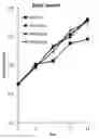 Fig. 01 - Composition for prevention, alleviation or treatment of precocious puberty containing extract of coicis semen and artemisia capillaris as active ingredient