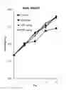 Fig. 02 - Composition for prevention, alleviation or treatment of precocious puberty containing extract of coicis semen and artemisia capillaris as active ingredient
