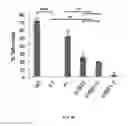 Fig. 20 - Polypeptides comprising vinculin binding sites for the treatment of proliferation and/or adhesion related diseases