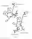 Fig. 03 - Pharmaceutical compositions of water soluble peptides with poor solubility in isotonic conditions and methods for their use