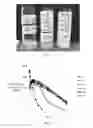 Fig. 04 - Pharmaceutical compositions of water soluble peptides with poor solubility in isotonic conditions and methods for their use