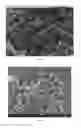 Fig. 13 - Pharmaceutical compositions of water soluble peptides with poor solubility in isotonic conditions and methods for their use