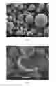 Fig. 15 - Pharmaceutical compositions of water soluble peptides with poor solubility in isotonic conditions and methods for their use