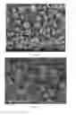 Fig. 16 - Pharmaceutical compositions of water soluble peptides with poor solubility in isotonic conditions and methods for their use