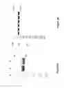 Fig. 03 - MODIFIED IDURONATE 2-SULFATASE AND PRODUCTION THEREOF