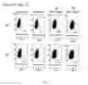 Fig. 07 - IMMUNOGENIC GLYCOPEPTIDE COMPOUNDS, PHARMACEUTICAL COMPOSITIONS AND USES THEREOF