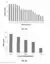 Fig. 09 - PERSONALISED IMMUNOGENIC PEPTIDE IDENTIFICATION PLATFORM