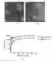 Fig. 06 - Ebola virus disease vaccine taking human replication deficient adenovirus as vector