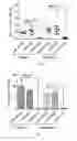 Fig. 07 - Ebola virus disease vaccine taking human replication deficient adenovirus as vector