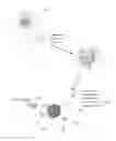 Fig. 01 - Light responsive quantum dot drug delivery system