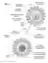 Fig. 06 - Light responsive quantum dot drug delivery system