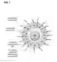 Fig. 07 - Light responsive quantum dot drug delivery system