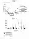 Fig. 08 - Therapeutic dendrimers