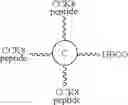 Fig. 41 - Linker units and molecular constructs comprising the same