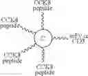 Fig. 44 - Linker units and molecular constructs comprising the same