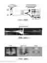 Fig. 44 - Motor neuron-specific expression vectors