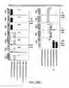 Fig. 71 - Motor neuron-specific expression vectors