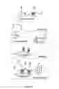 Fig. 03 - Method effective to modulate expression of T-box protein 4 (Tbx4) for reducing progression of lung fibrosis after a lung injury