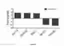 Fig. 08 - Method effective to modulate expression of T-box protein 4 (Tbx4) for reducing progression of lung fibrosis after a lung injury