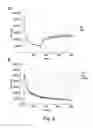 Fig. 07 - Dressing system