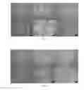 Fig. 06 - DECELLULARIZATION OF TISSUES USING SUPERCRITICAL CARBON DIOXIDE