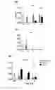 Fig. 06 - Method and apparatus for decellularization of tissue