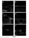 Fig. 07 - Method and apparatus for decellularization of tissue