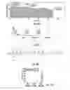 Fig. 19 - SYSTEMS AND METHODS FOR NEURAL DRUG DELIVERY AND MODULATION OF BRAIN ACTIVITY