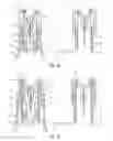 Fig. 04 - Auto-injector