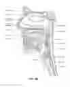 Fig. 06 - Vent adaptor for a respiratory therapy system