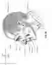 Fig. 08 - Vent adaptor for a respiratory therapy system