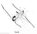 Fig. 21 - Securement device for medical devices
