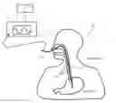Fig. 01 - ACTIVATING MUSCLE CONTRACTIONS ALONG A GI TRACT PORTION