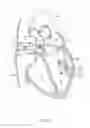 Fig. 02 - Systems and methods for treating cardiac arrhythmias
