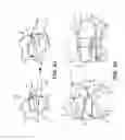 Fig. 06 - Adapter assemblies for implantable medical electrical systems