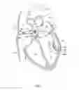 Fig. 02 - Systems and methods for treating cardiac arrhythmias