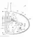 Fig. 01 - Golf club head with interior weight adjustable in multiple directions