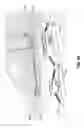 Fig. 45 - Processor-controlled snow sport boot binding
