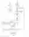 Fig. 07 - WEB PAGE RUNNING METHOD AND APPARATUS, TERMINAL, AND STORAGE MEDIUM