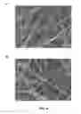 Fig. 06 - FILTER MEDIA COMPRISING CELLULOSE FILAMENTS