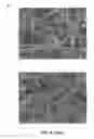 Fig. 07 - FILTER MEDIA COMPRISING CELLULOSE FILAMENTS
