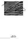 Fig. 22 - FILTER MEDIA COMPRISING CELLULOSE FILAMENTS