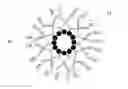 Fig. 01 - Hydrophilic graphitic material