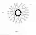 Fig. 02 - Hydrophilic graphitic material