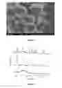 Fig. 03 - SiO-layered double hydroxide microspheres and methods of making them