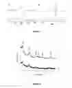 Fig. 07 - SiO-layered double hydroxide microspheres and methods of making them